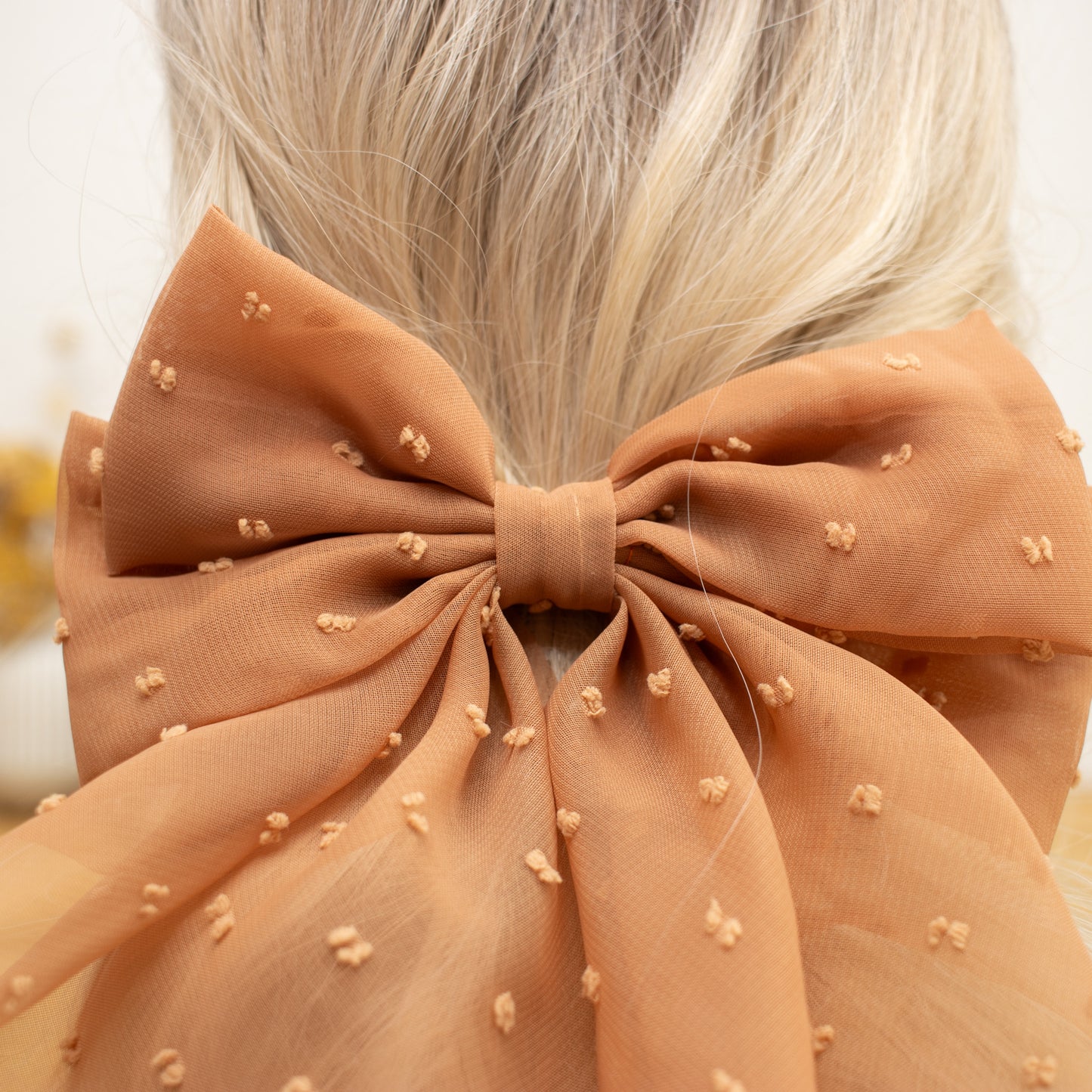 Schleife | Alice